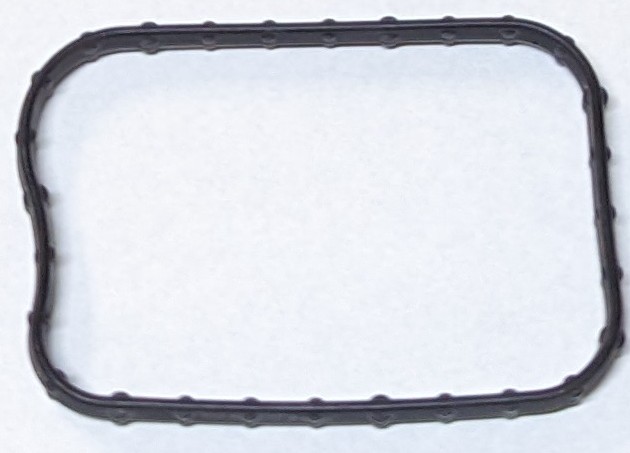 ACTUATOR ORING